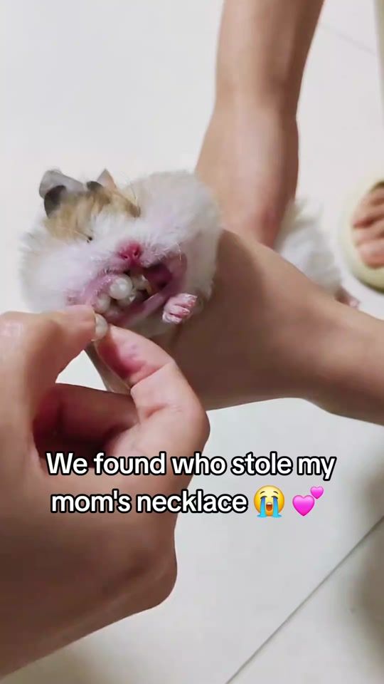 TikTok video thumbnail by underrated.moments