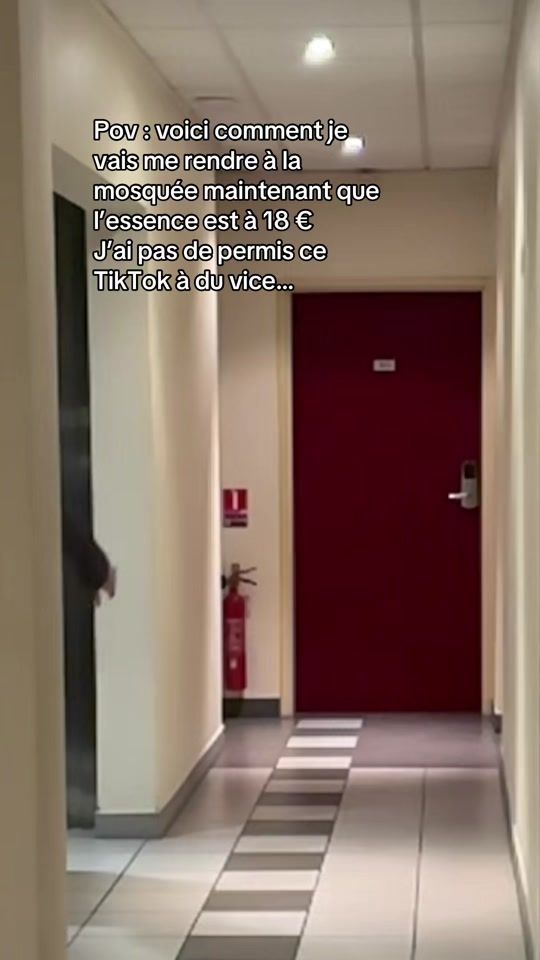 TikTok video thumbnail by lefennec2.0