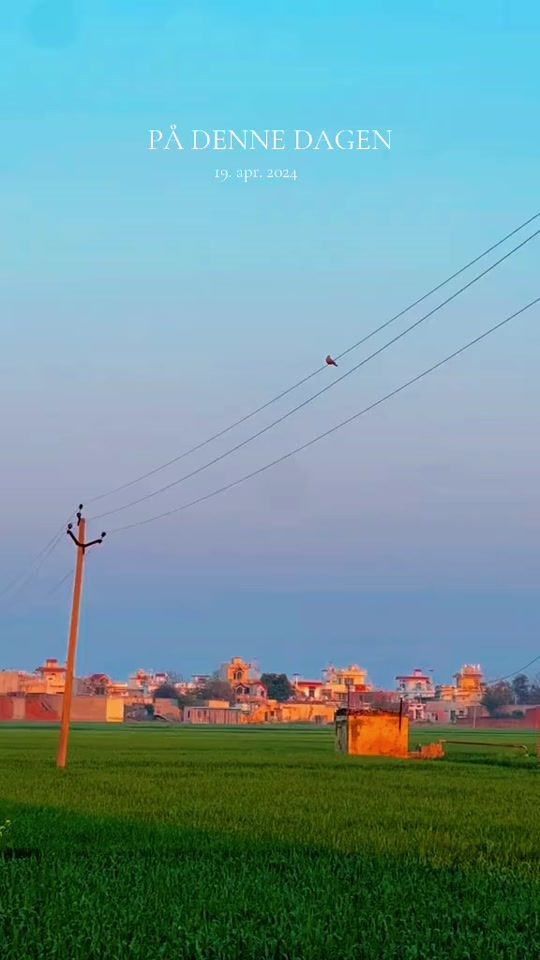 TikTok video thumbnail by rupindermann23