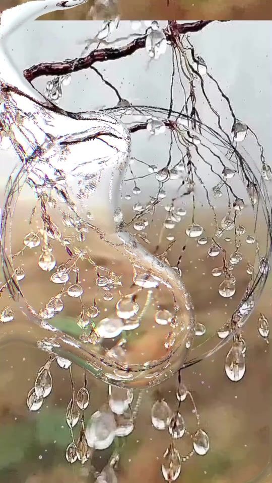 TikTok video thumbnail by user5381785348195