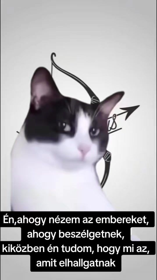 TikTok video thumbnail by fugesz2