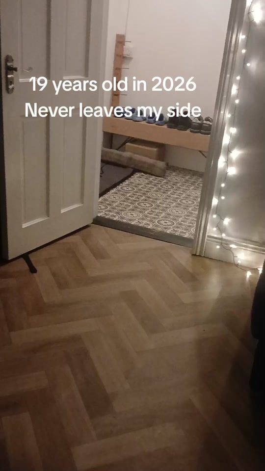 TikTok video thumbnail by oldest.frenchie