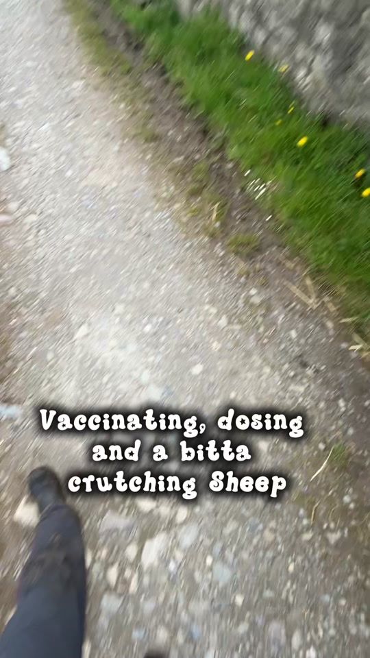 TikTok video thumbnail by ainewithafadaperiod