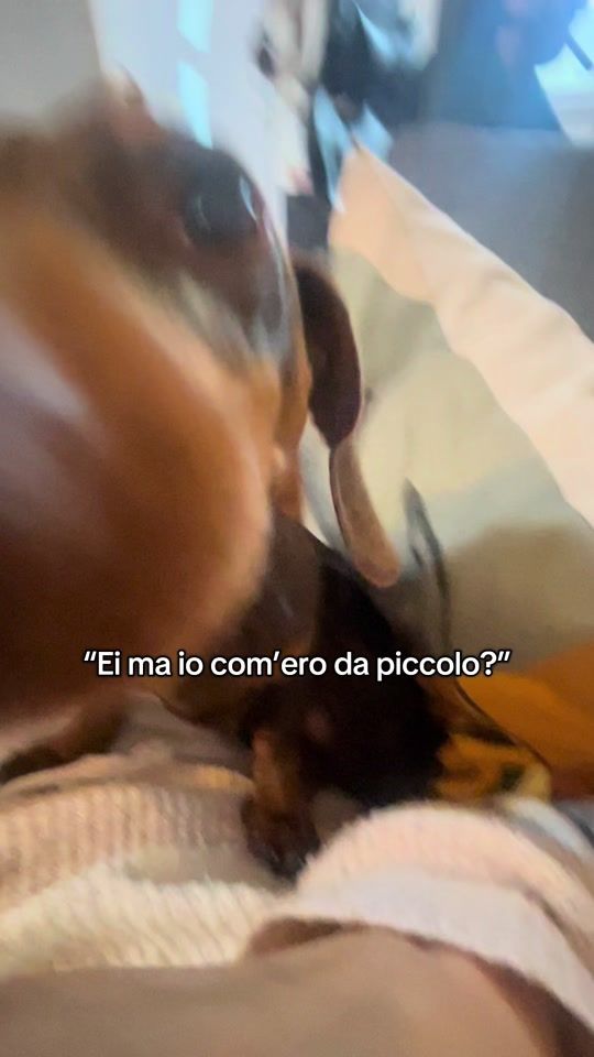 TikTok video thumbnail by ilariapucci