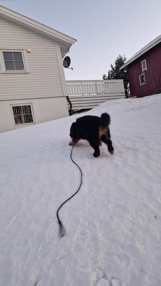 TikTok video thumbnail by ko0ozak