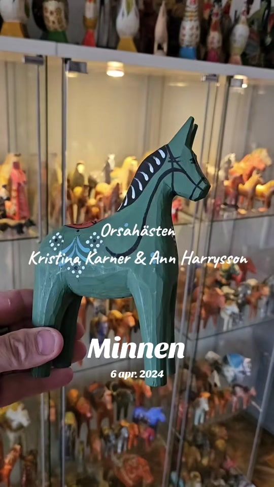 TikTok video thumbnail by mickestormdalahorses