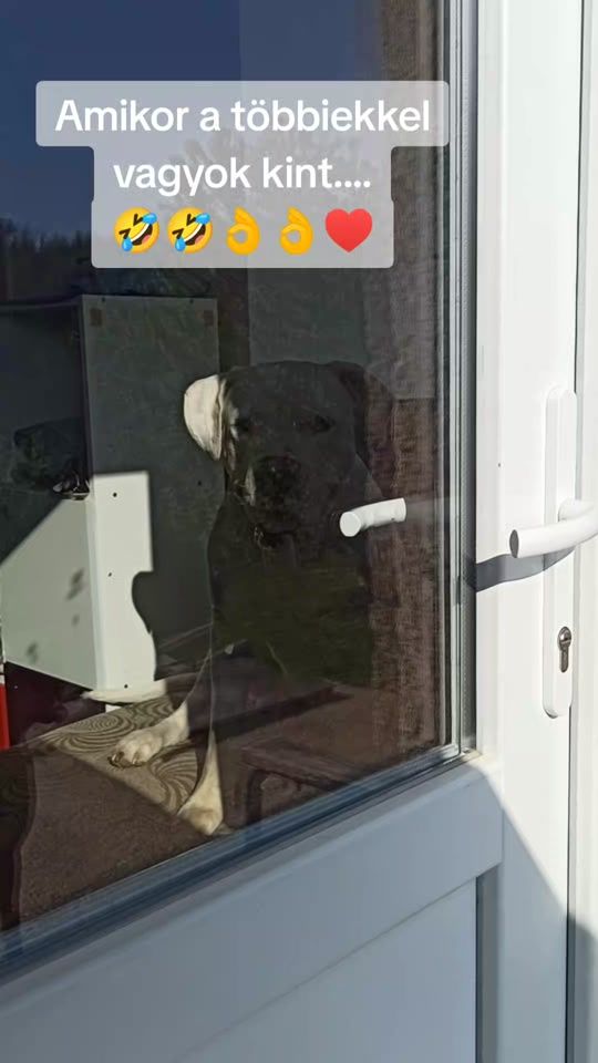 TikTok video thumbnail by kovacs.agnes_85
