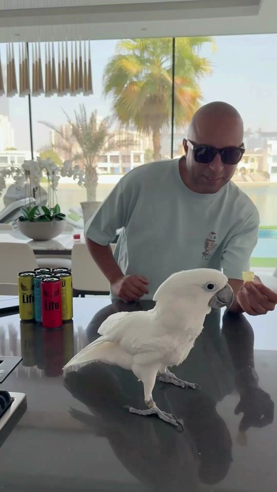 TikTok video thumbnail by arashlabaf