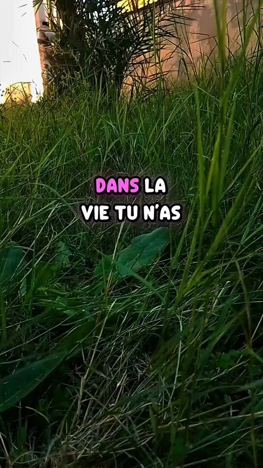 TikTok video thumbnail by 433_motivation