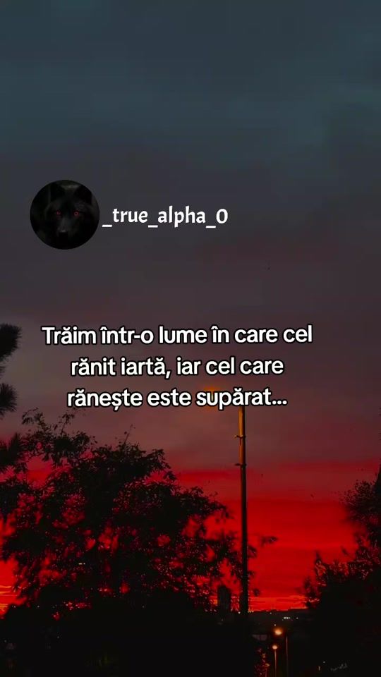 TikTok video thumbnail by _true_alpha_0