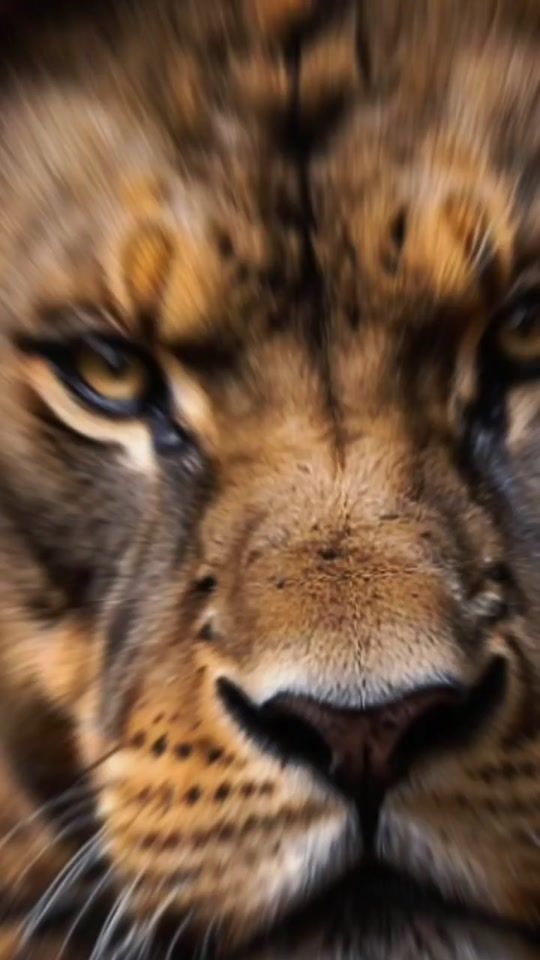 TikTok video thumbnail by ali.rza824