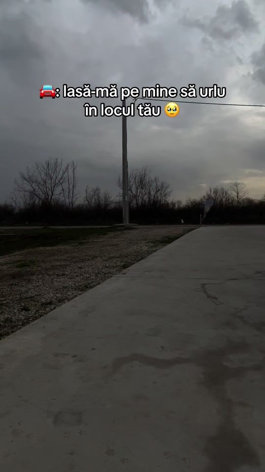 TikTok video thumbnail by george_stancu03