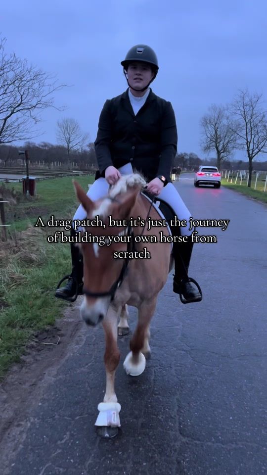 TikTok video thumbnail by we._.equestrian