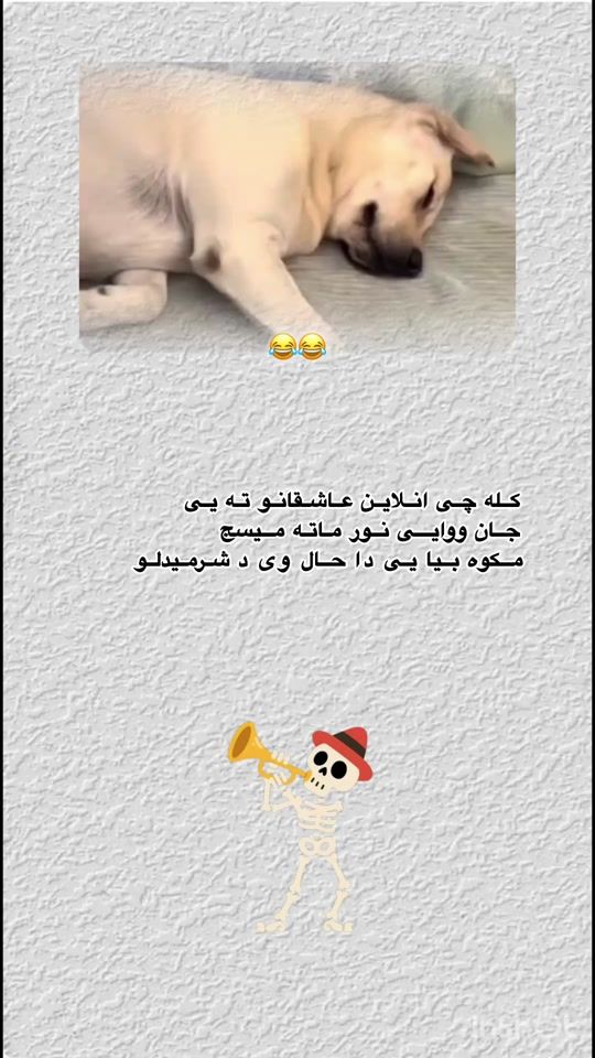TikTok video thumbnail by ___tik.tok._______1