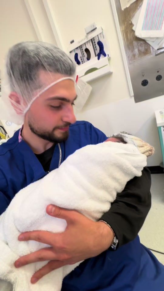 TikTok video thumbnail by youssef_kabani