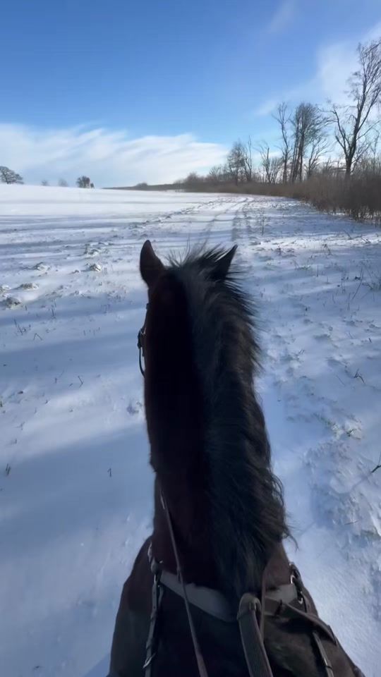 TikTok video thumbnail by h.ella.b