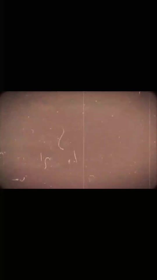 TikTok video thumbnail by baghi..malang