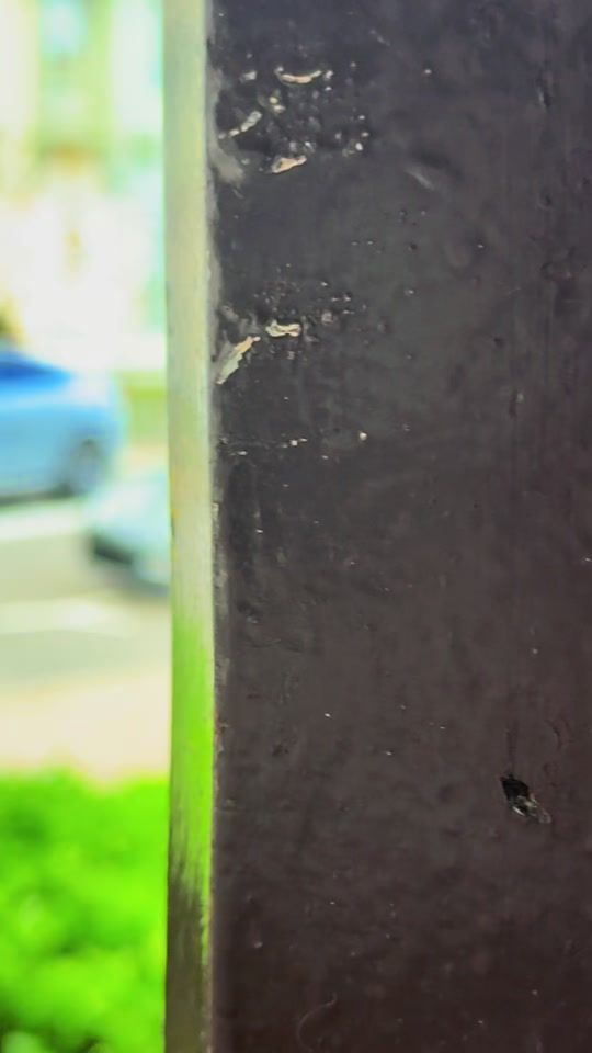 TikTok video thumbnail by raphh.d