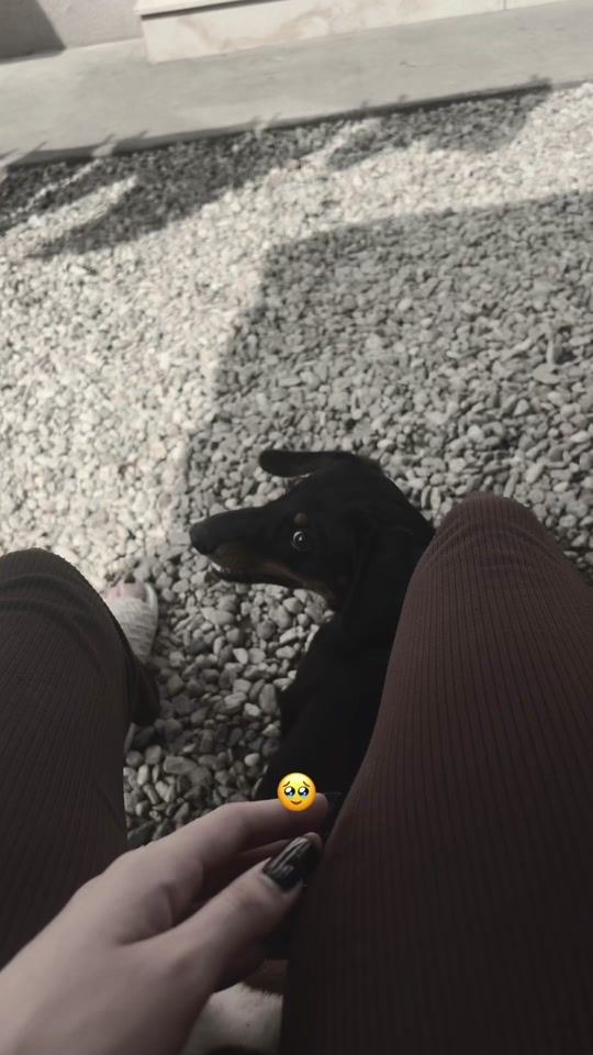 TikTok video thumbnail by gabriela_ghita