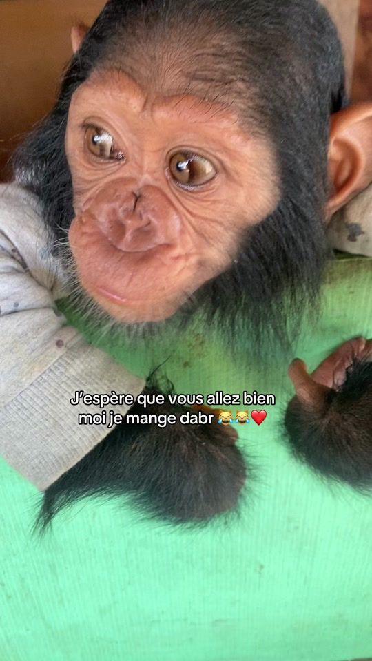 TikTok video thumbnail by marieg301