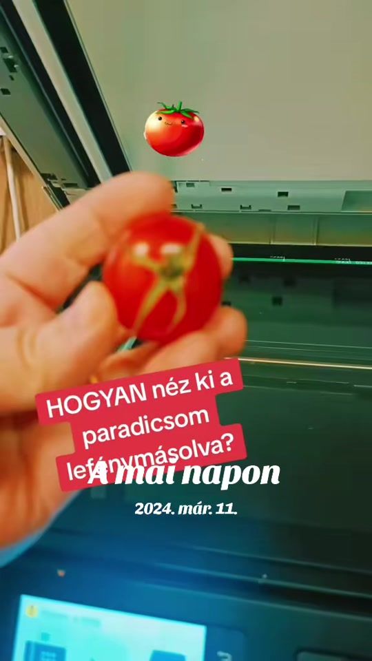 TikTok video thumbnail by mintaprint