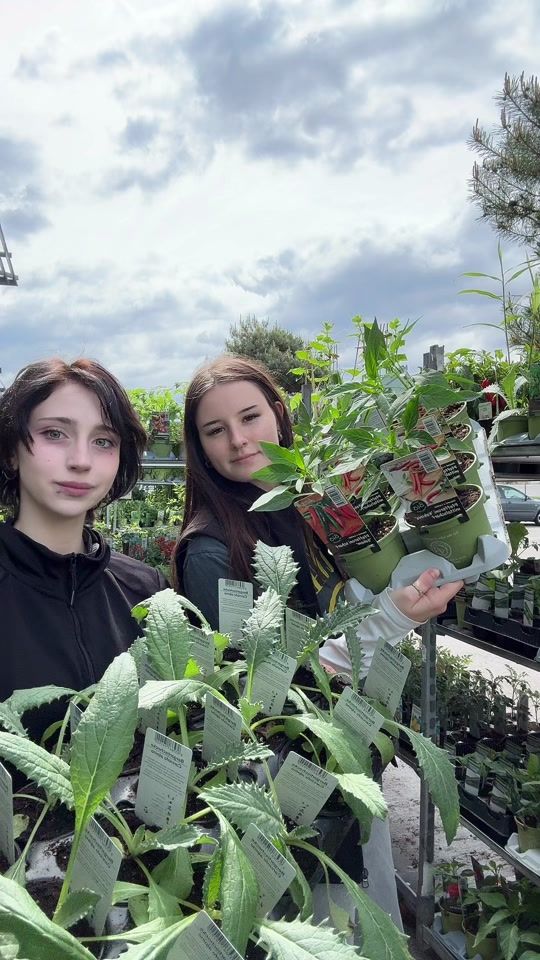 TikTok video thumbnail by blumen.bb
