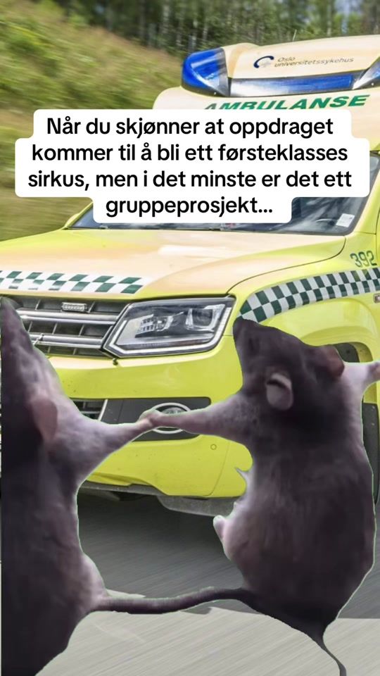 TikTok video thumbnail by ambulansememes