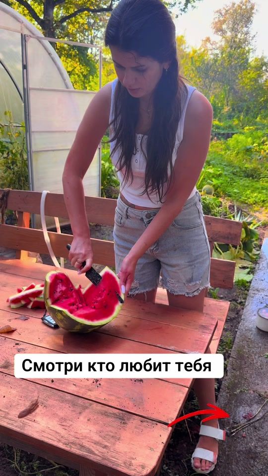 TikTok video thumbnail by marinlsch6t