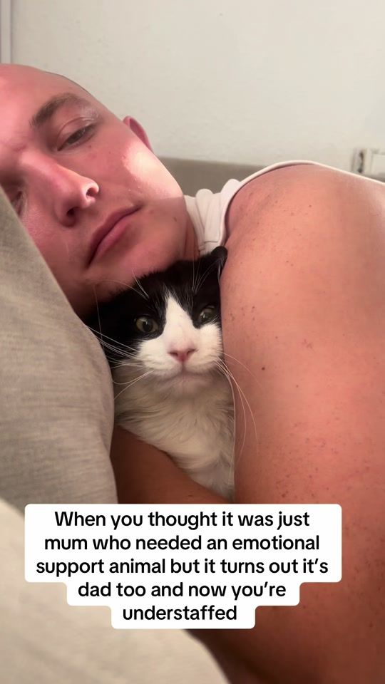 TikTok video thumbnail by jordanjayenoble
