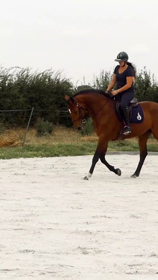 TikTok video thumbnail by doux_reve_equin