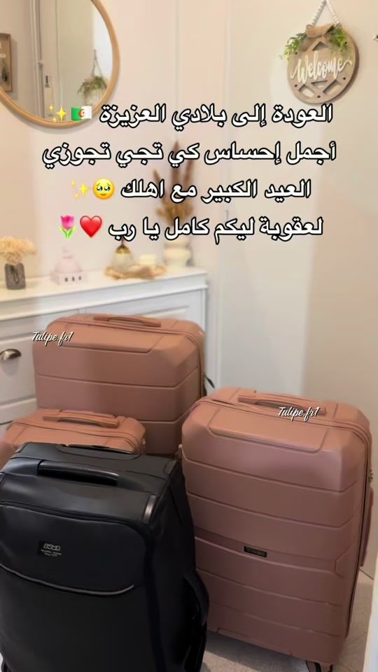 TikTok video thumbnail by tulipe.fr