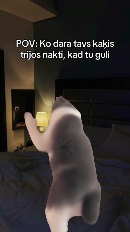TikTok video thumbnail by spoki.lv