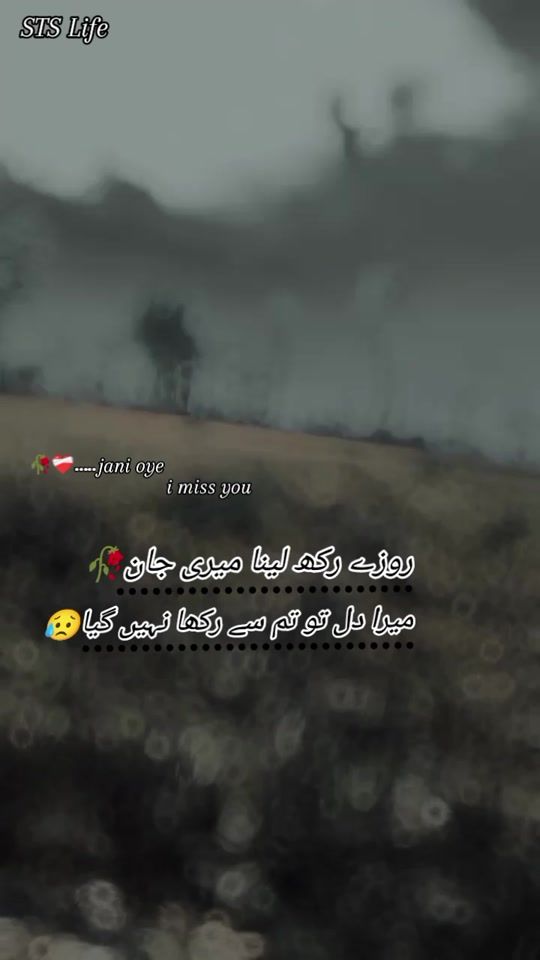 TikTok video thumbnail by salmanwriter302