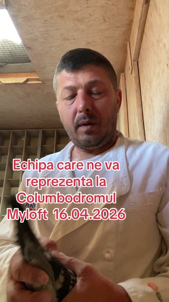 TikTok video thumbnail by valentin_tulbita