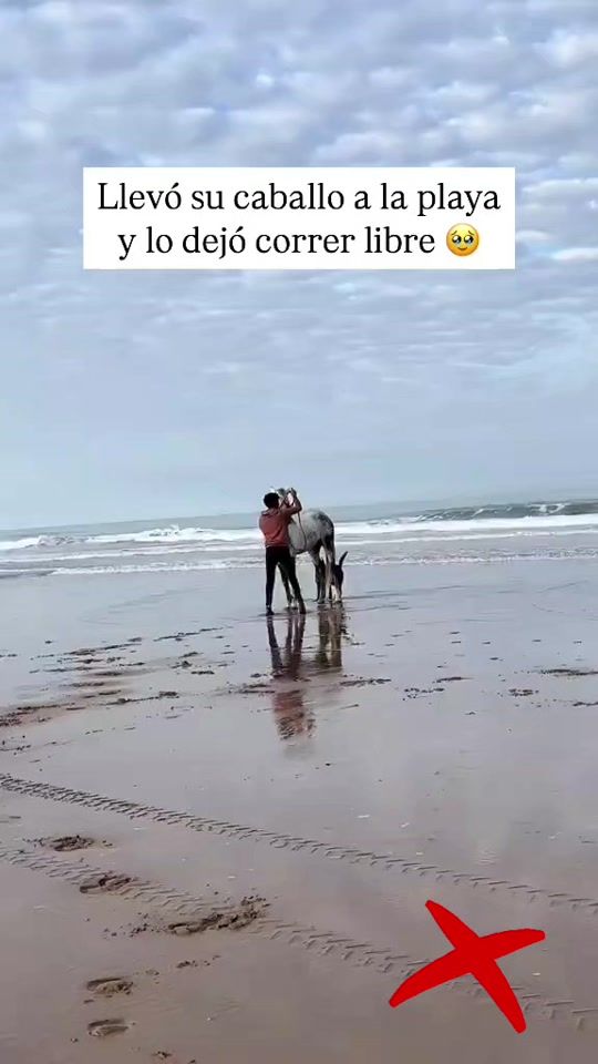 TikTok video thumbnail by dani13vz