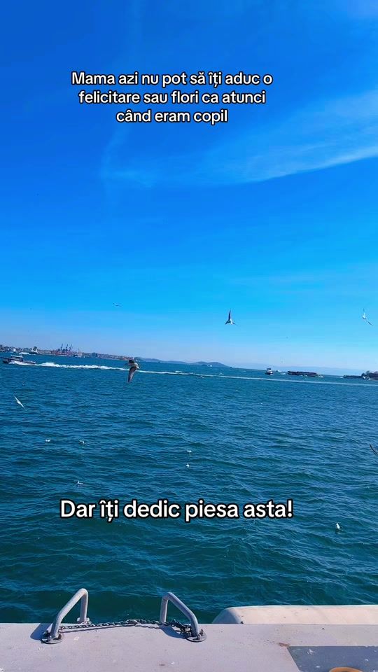 TikTok video thumbnail by jador