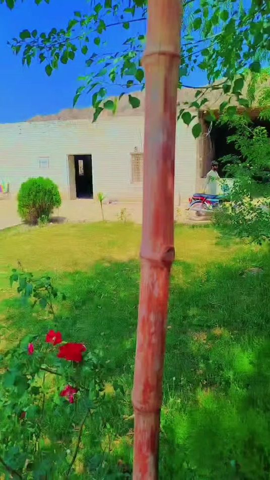 TikTok video thumbnail by ranabilaltaj2
