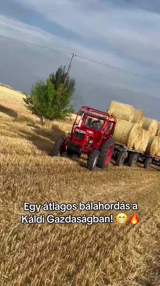TikTok video thumbnail by kaldi_dominik