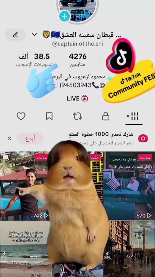 TikTok video thumbnail by captain.of.the.shi