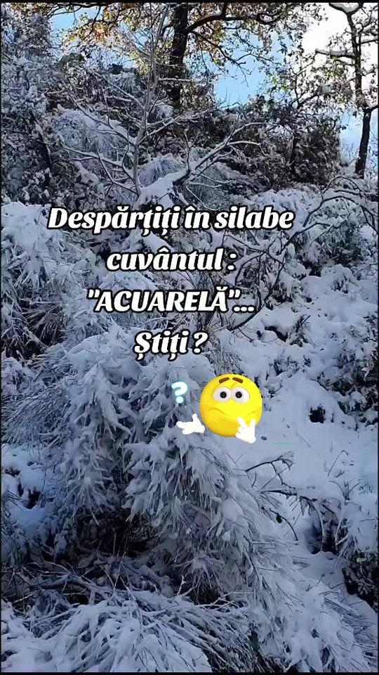 TikTok video thumbnail by filacatrina