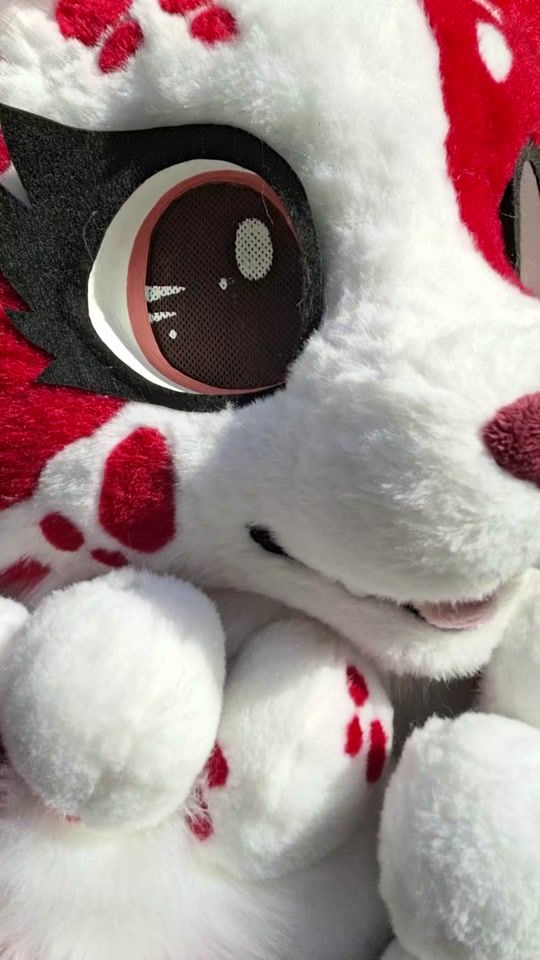 TikTok video thumbnail by dancing_furry