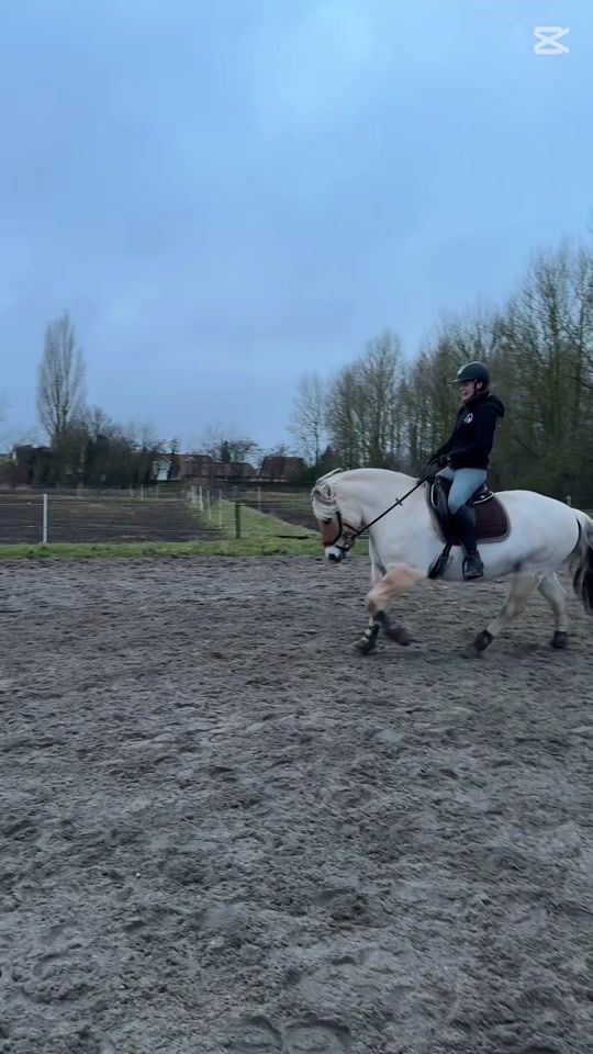 TikTok video thumbnail by freja_og_ronja