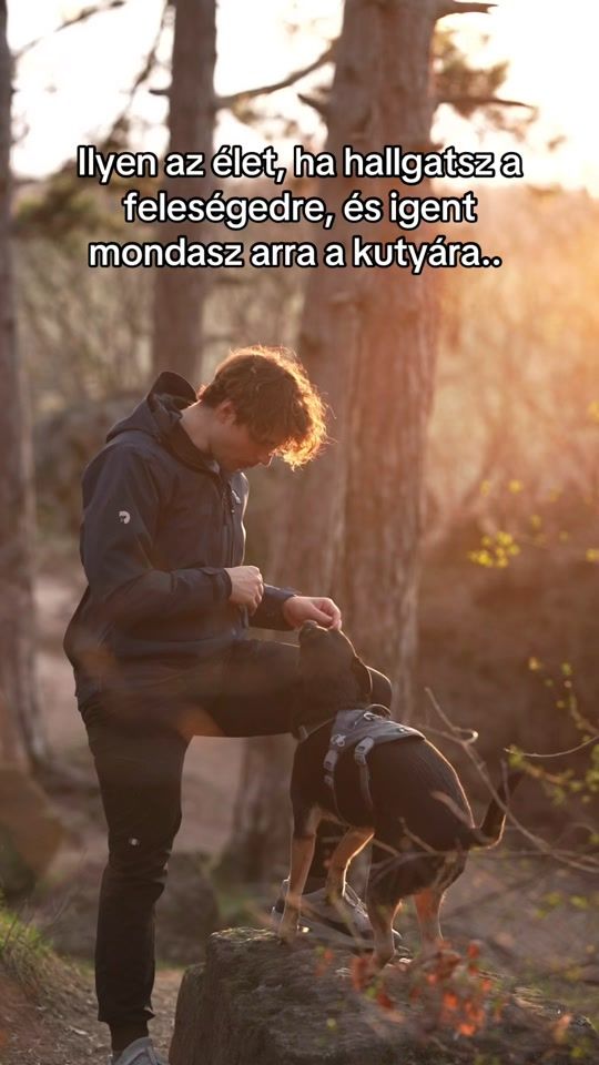 TikTok video thumbnail by 2blackdogsview