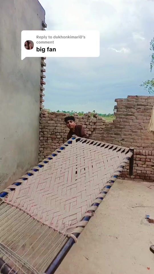 TikTok video thumbnail by ali_akbar_calisthenics