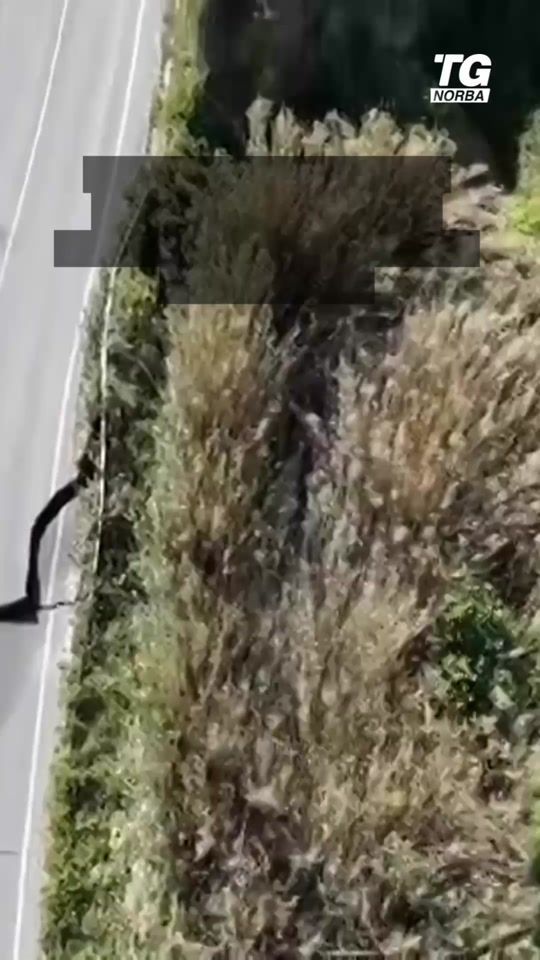 TikTok video thumbnail by tgnorba