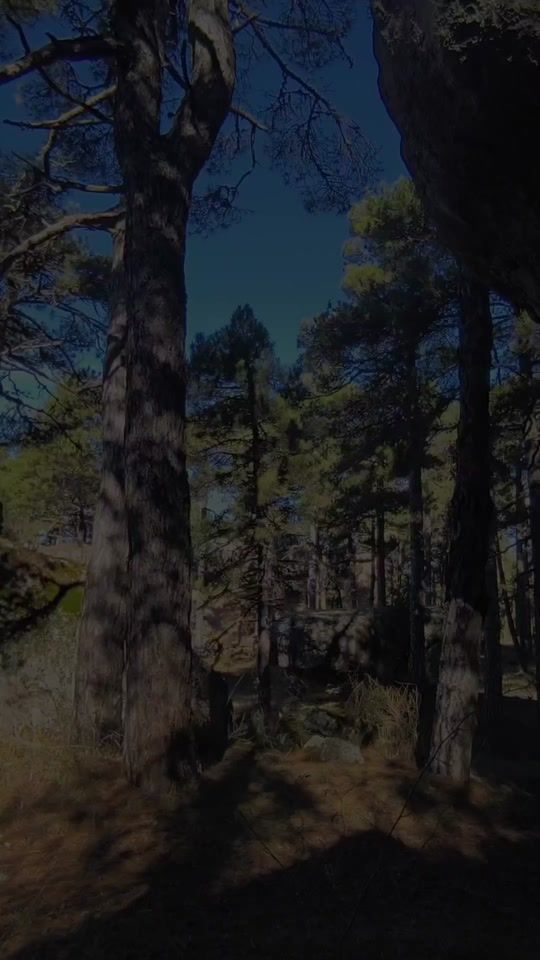 TikTok video thumbnail by black_dragonfly0