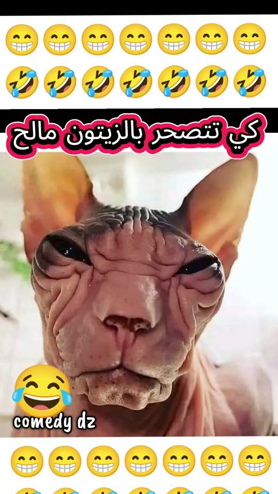 TikTok video thumbnail by comedy.dz3