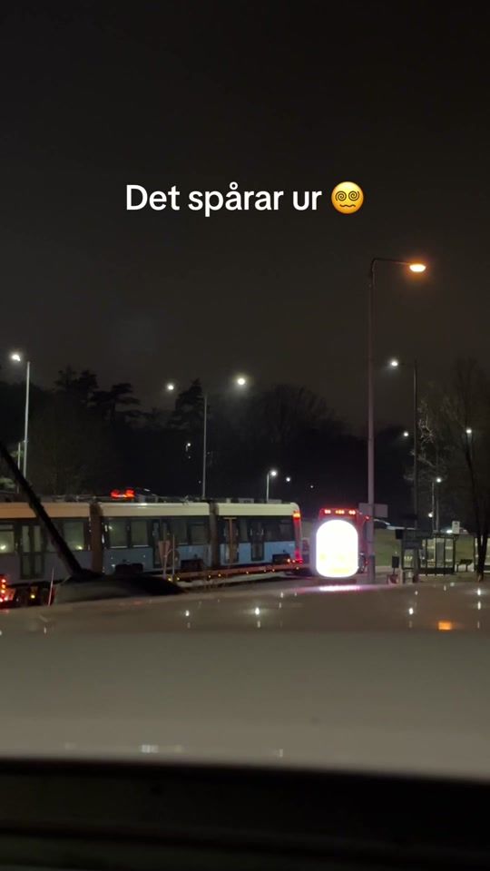 TikTok video thumbnail by piggeliina