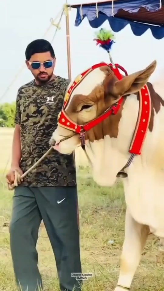 TikTok video thumbnail by pattloking9