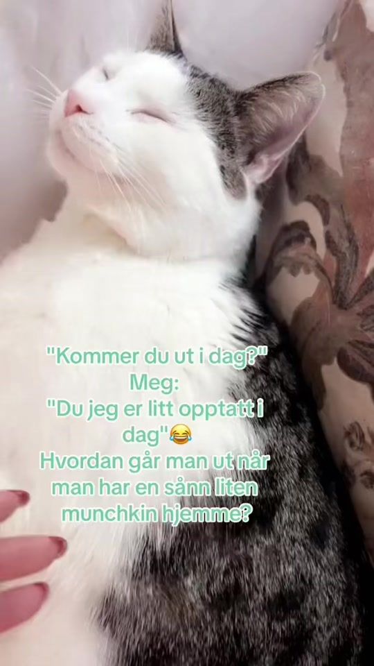 TikTok video thumbnail by sue_me_podkast
